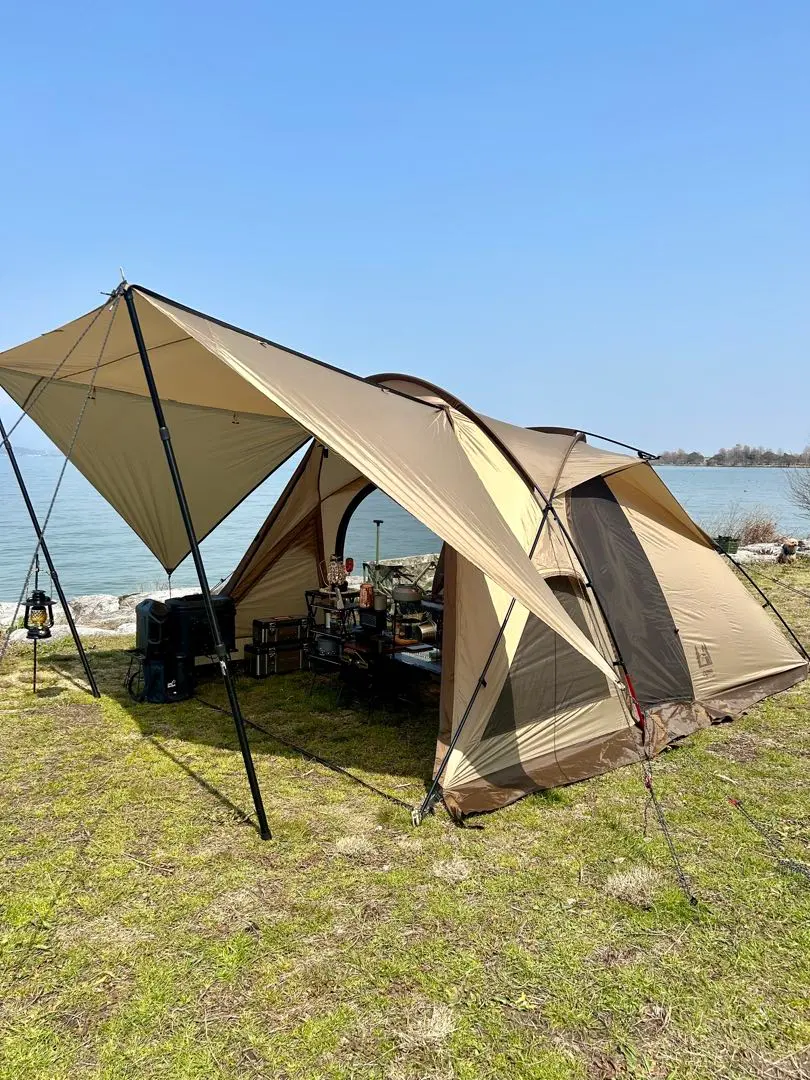 2026年最新】ヴィガス2の人気アイテム - メルカリ