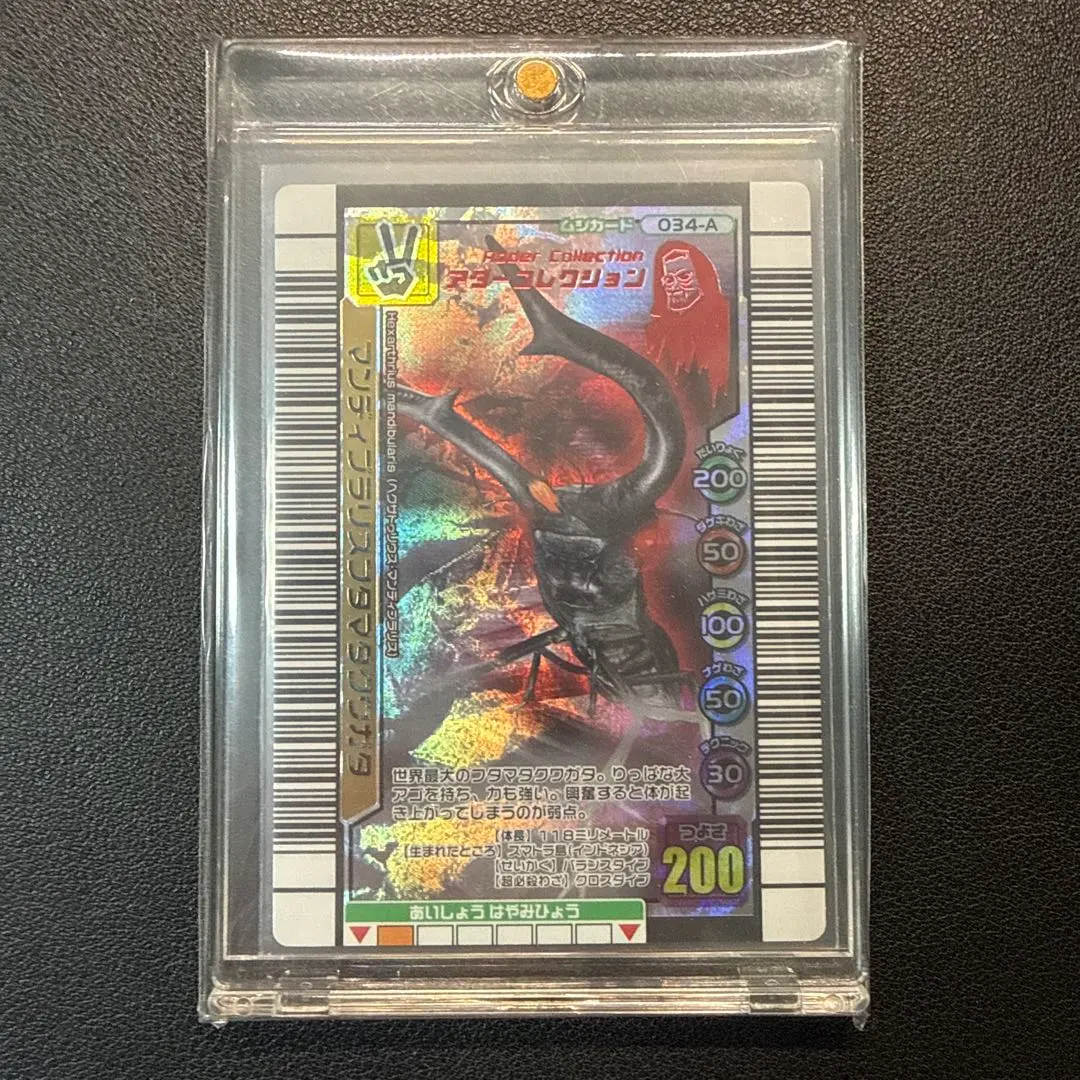 2026年最新】ムシキング マンディブラリスフタマタクワガタ アダーの