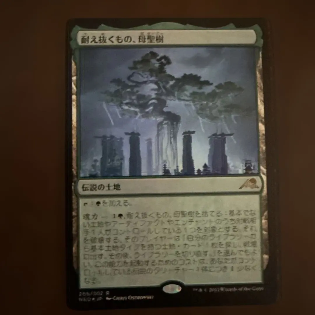 2026年最新】耐え抜くもの、母聖樹の人気アイテム - メルカリ