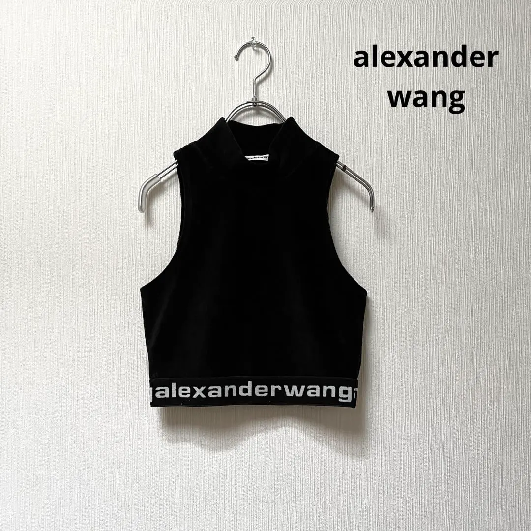 2026年最新】alexanderwang ブラトップ mの人気アイテム - メルカリ