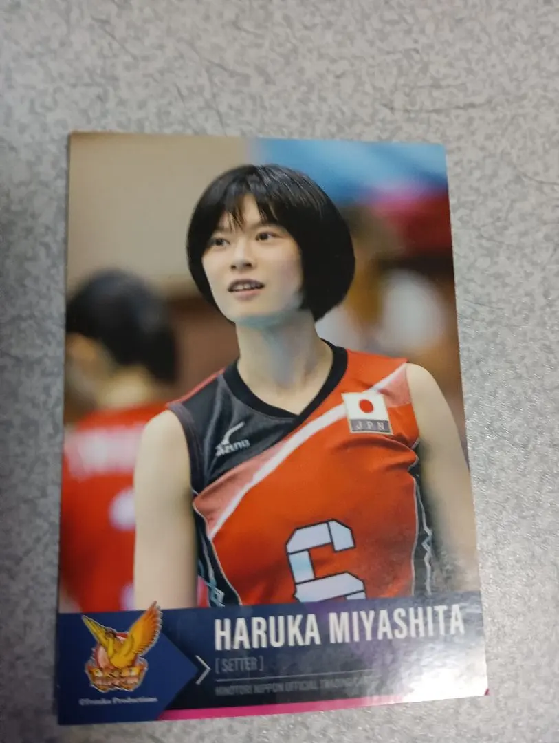 2026年最新】岡山シーガルズの人気アイテム - メルカリ