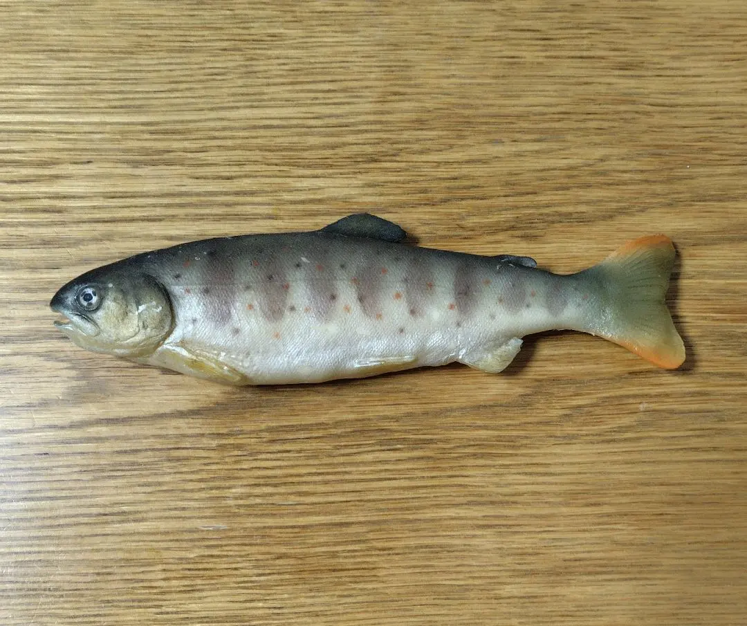 2026年最新】ヤマメ 置物の人気アイテム - メルカリ