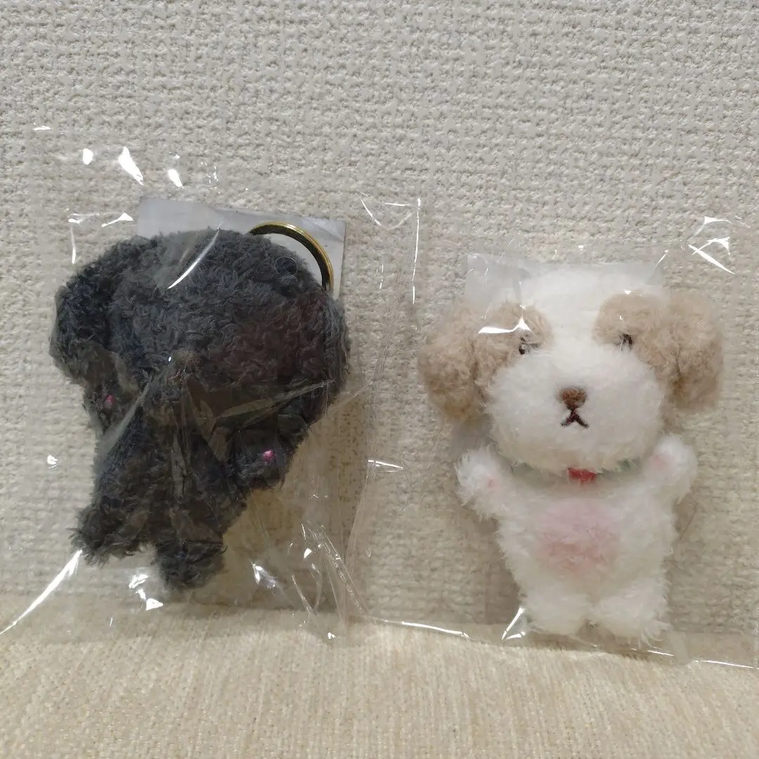 2026年最新】チャニョル ぬいぐるみの人気アイテム - メルカリ