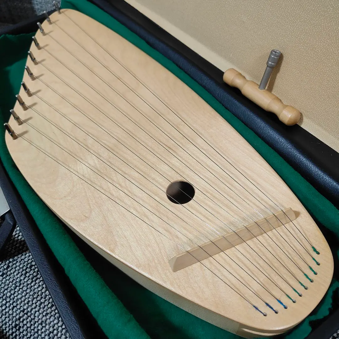 2026年最新】カンテレ 楽器の人気アイテム - メルカリ