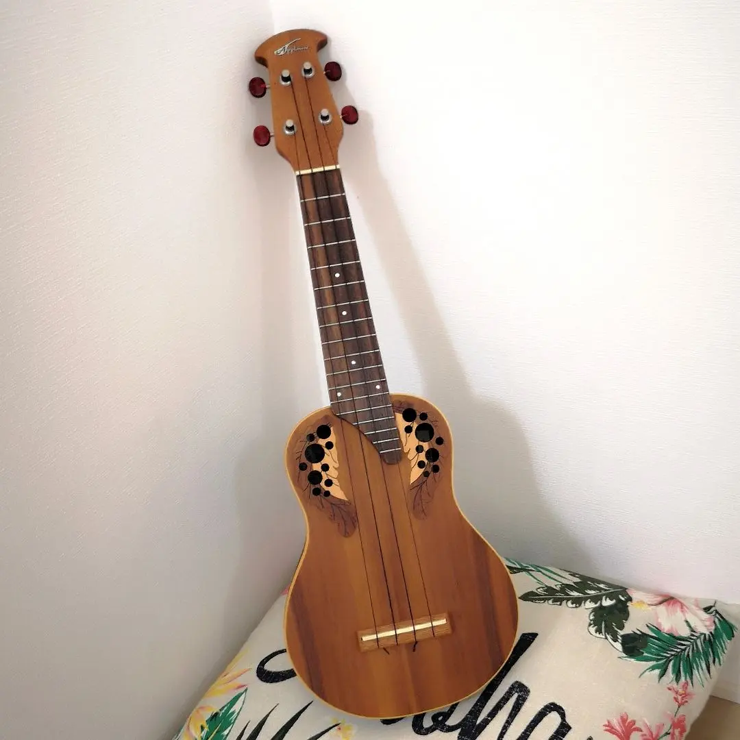 2026年最新】オベーション ギター コレクションの人気アイテム - メルカリ