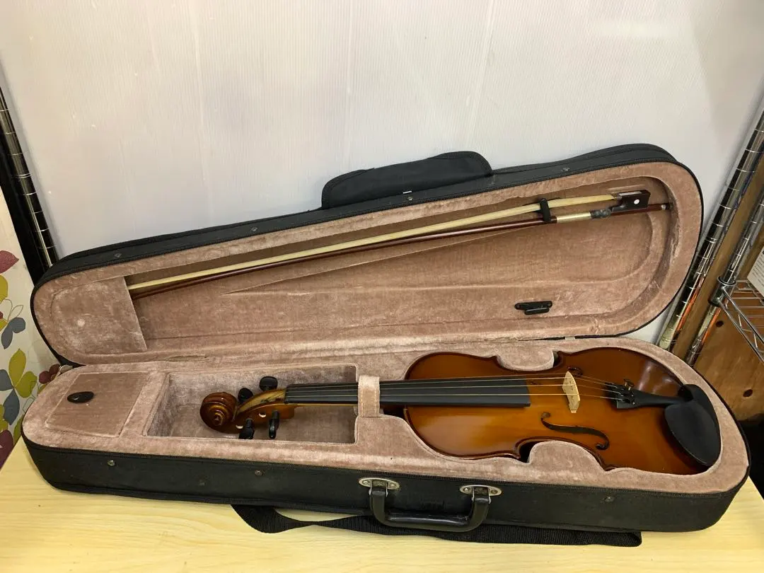 2026年最新】rv- romanzaの人気アイテム - メルカリ