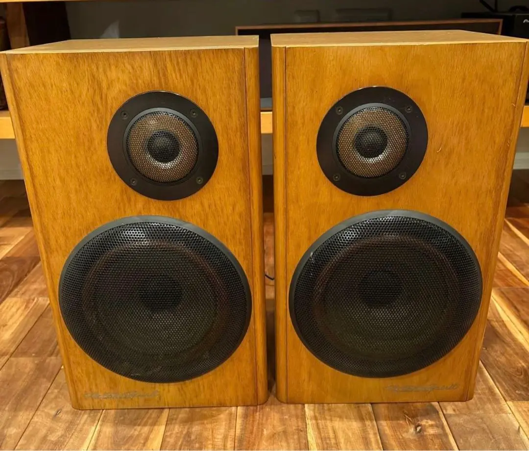 2026年最新】VICTOR SX-300の人気アイテム - メルカリ