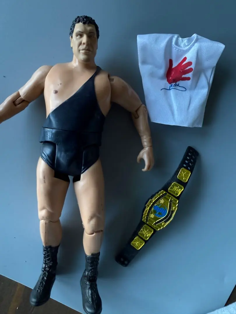 2026年最新】アンドレザジャイアント フィギュアの人気アイテム - メルカリ