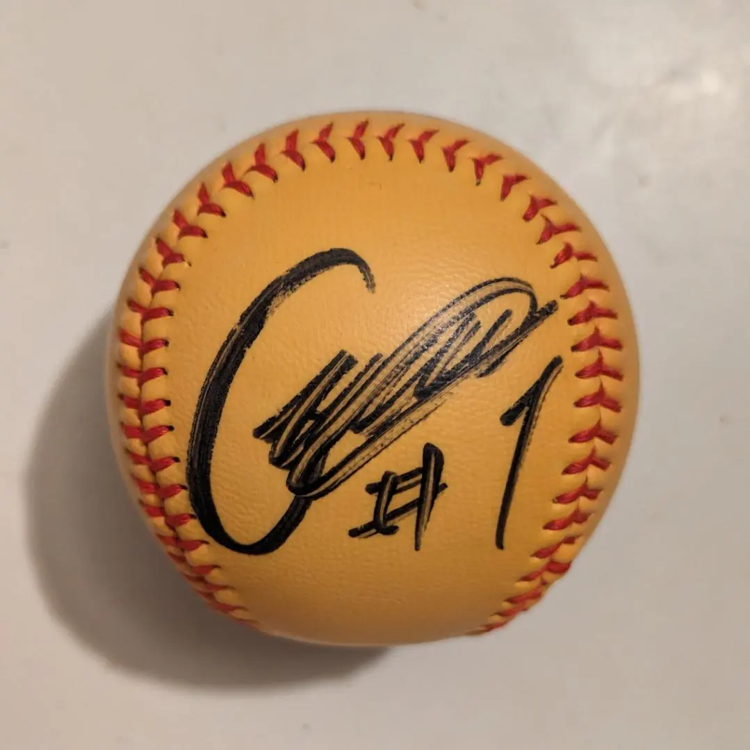 2026年最新】岩村明憲 サインの人気アイテム - メルカリ