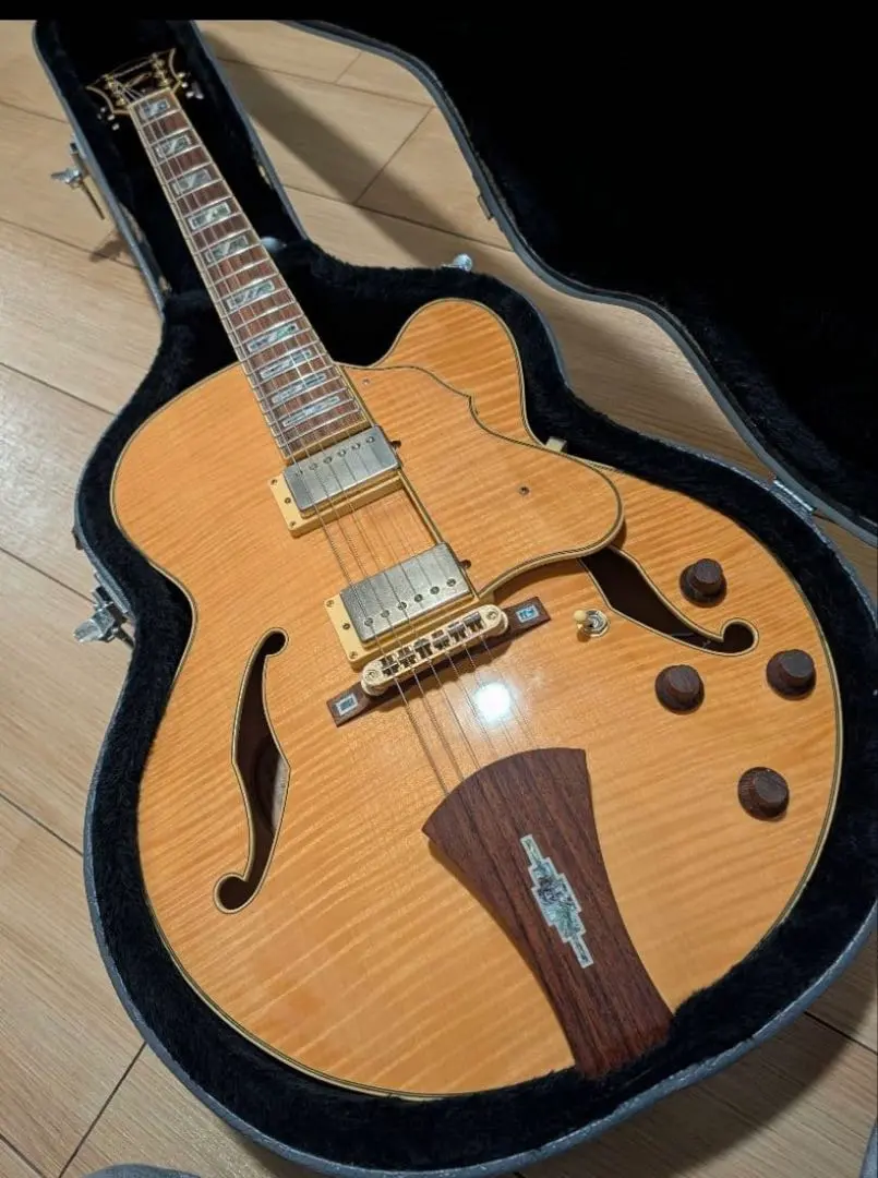 2026年最新】Ibanez AF105の人気アイテム - メルカリ