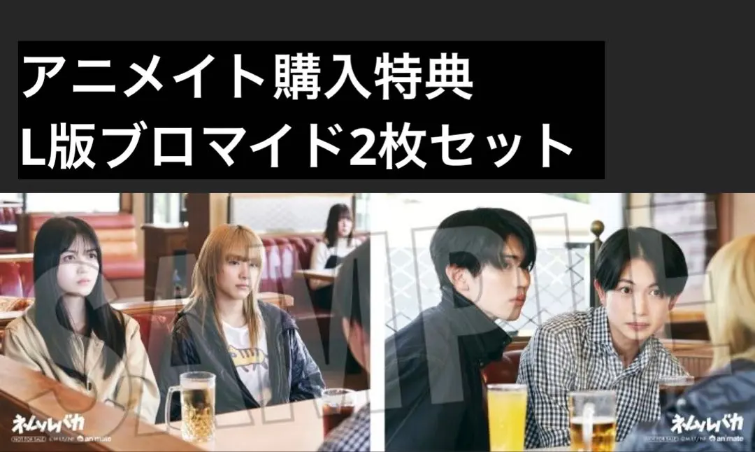 2026年最新】ネムルバカ パンフレットの人気アイテム - メルカリ