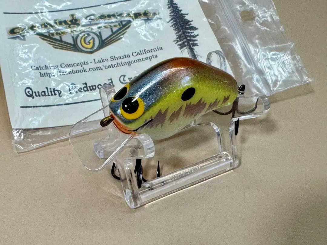 2026年最新】キャッチングコンセプトの人気アイテム - メルカリ