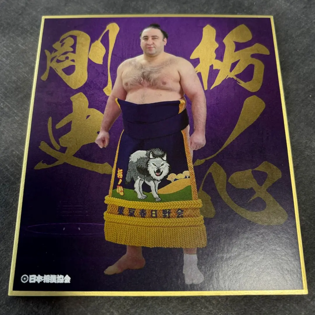 2026年最新】栃ノ心の人気アイテム - メルカリ