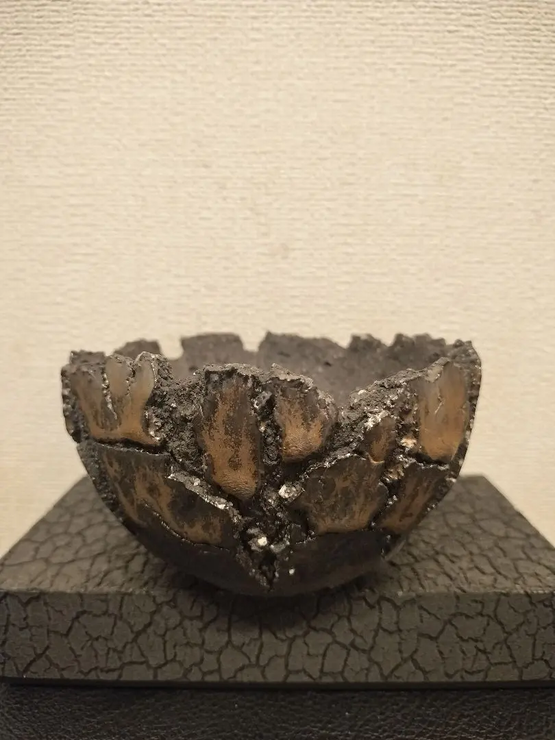 2026年最新】笠間焼 植木鉢の人気アイテム - メルカリ