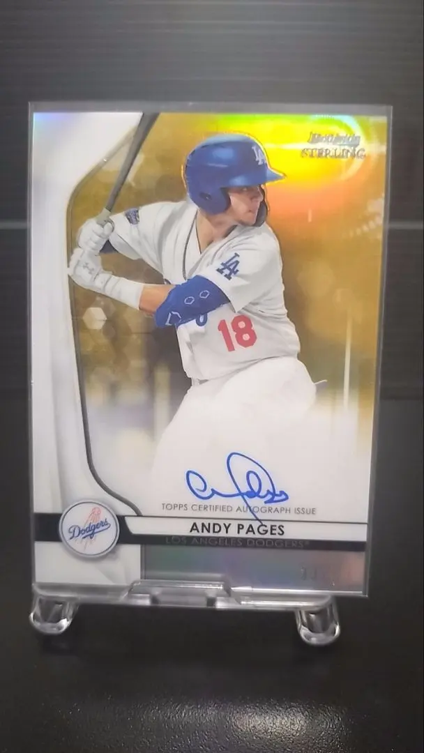 2026年最新】パヘス サインの人気アイテム - メルカリ