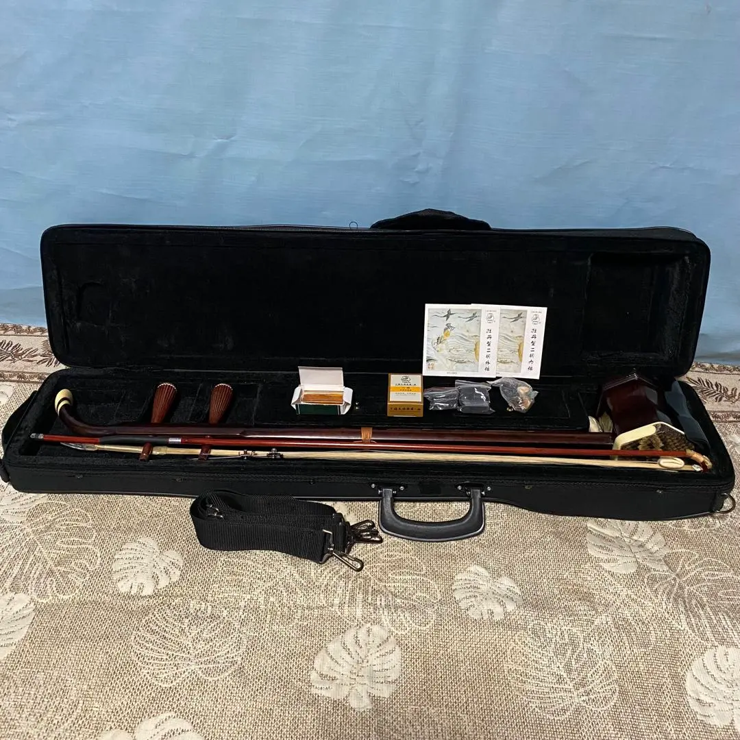 2026年最新】二胡 DUNHUANGの人気アイテム - メルカリ