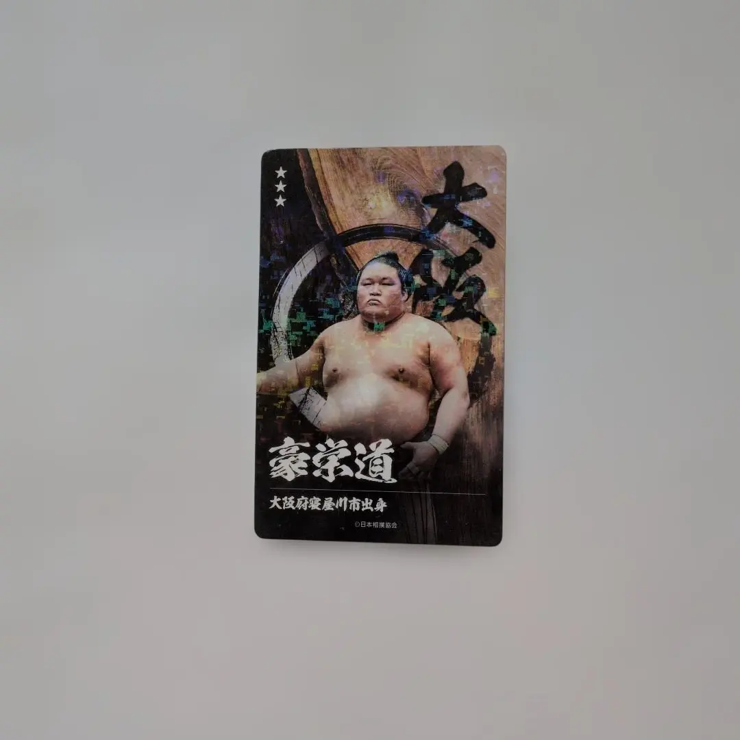 2026年最新】豪栄道の人気アイテム - メルカリ