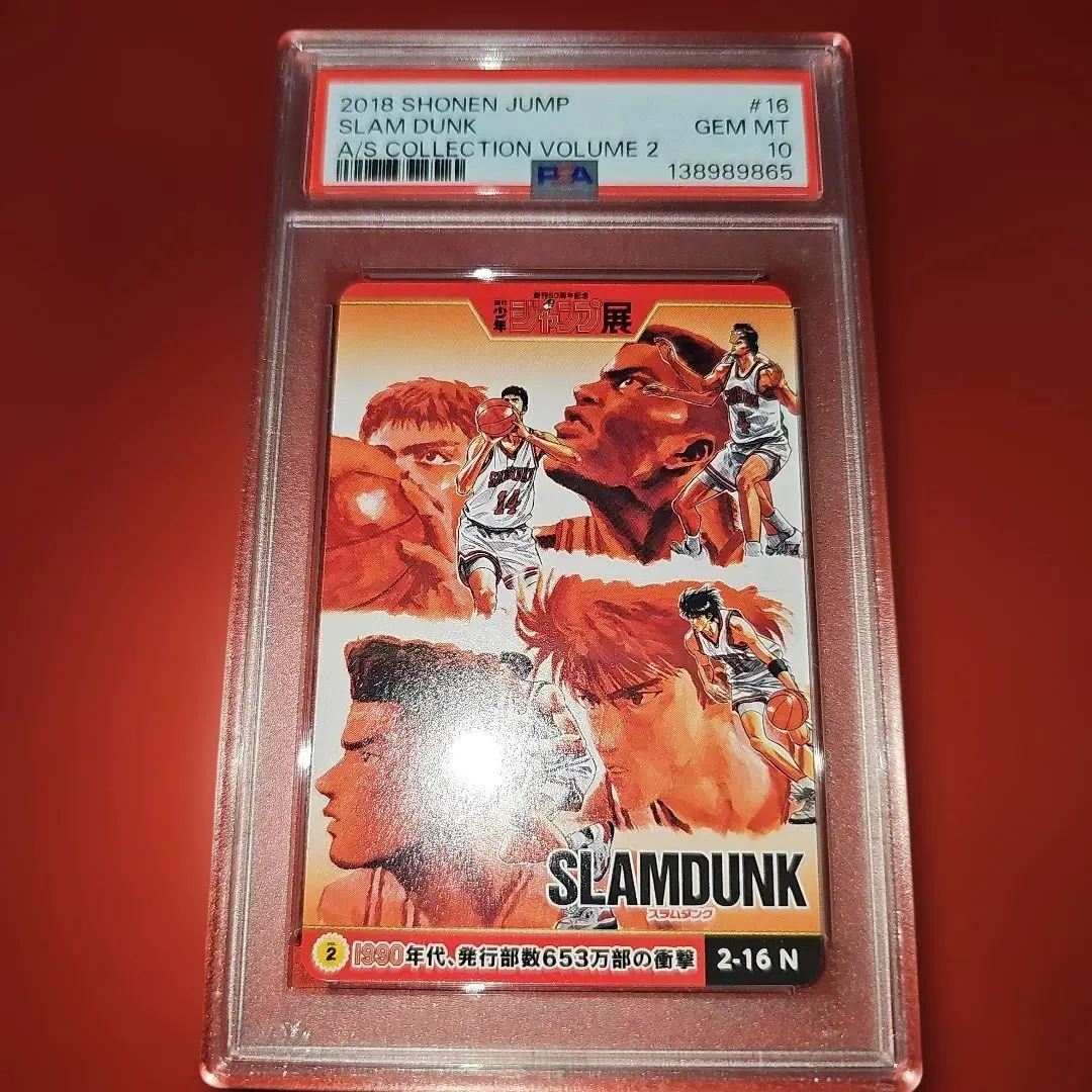 m86231322981_1.jpg?1770815525