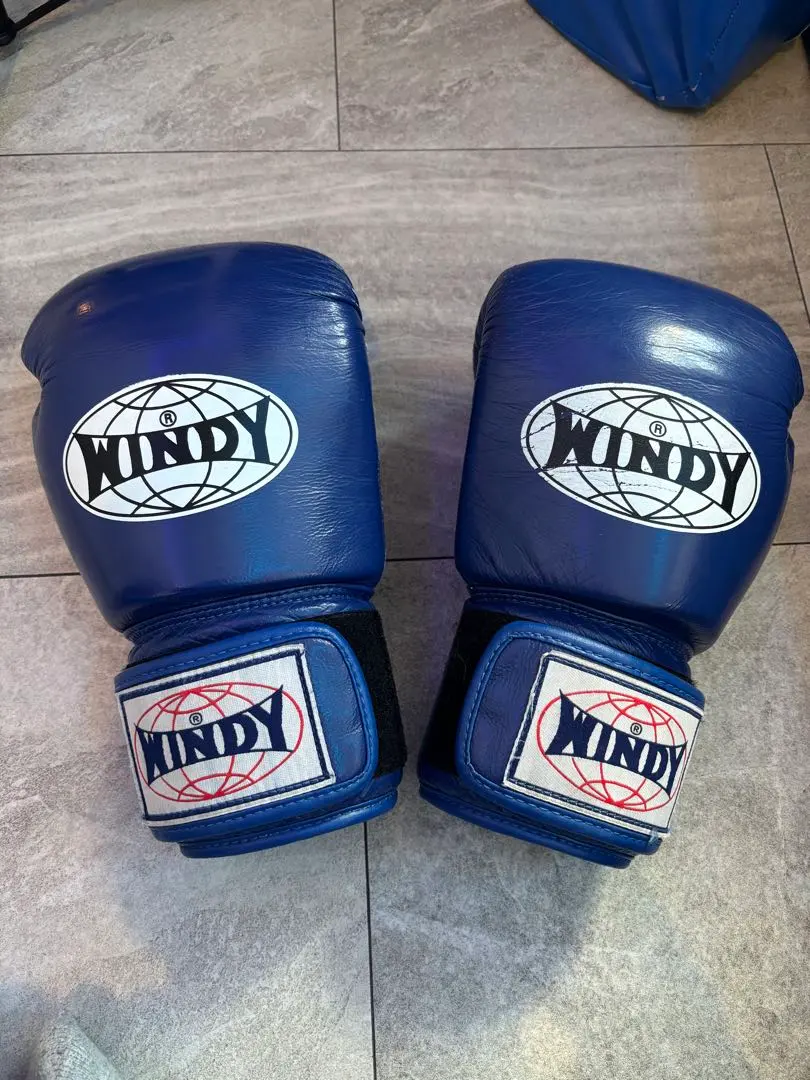 2026年最新】ボクシンググローブ 14オンス windyの人気アイテム - メルカリ