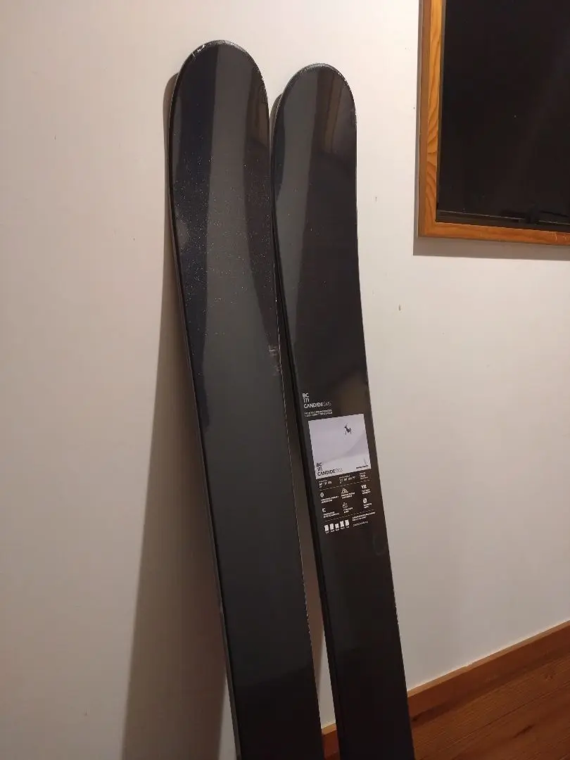 2026年最新】candide スキーの人気アイテム - メルカリ
