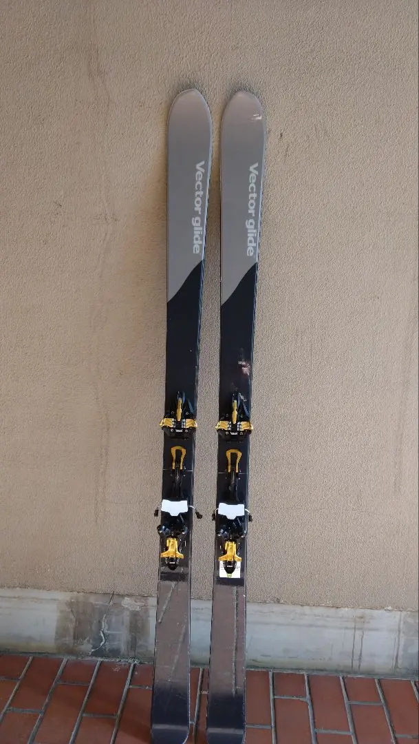 2026年最新】vector glide cordovaの人気アイテム - メルカリ