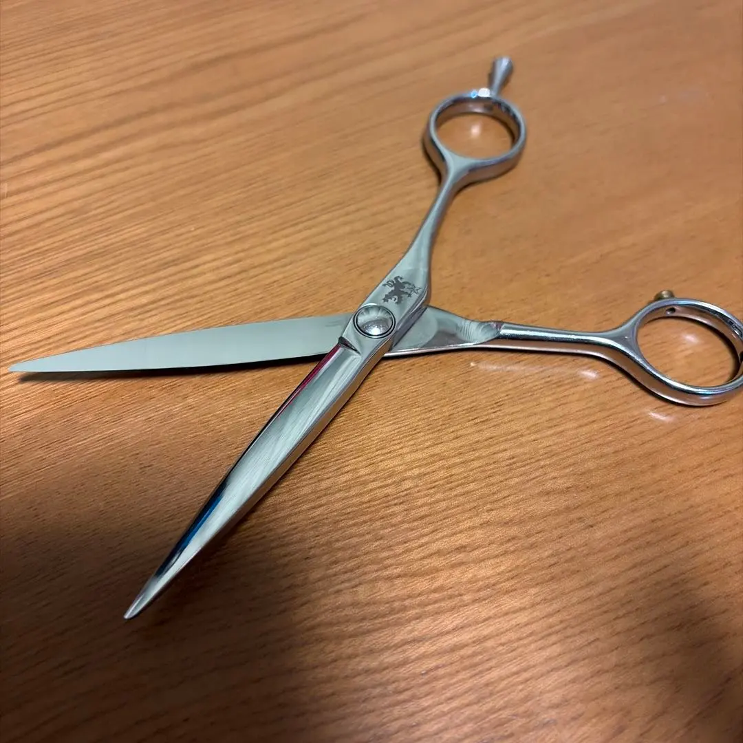 2026年最新】トラックスシザー スライドの人気アイテム - メルカリ