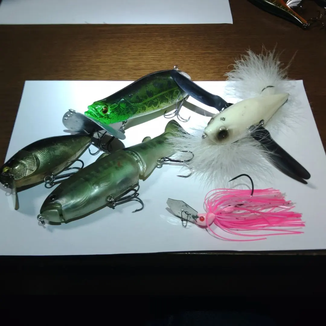 2026年最新】RAID JAPAN ビッグベイトの人気アイテム - メルカリ