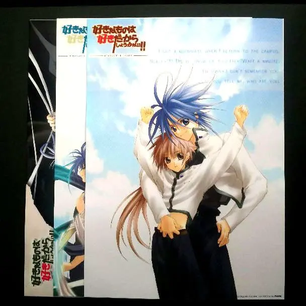 2026年最新】好きなものは好きだからしょうがない カードの人気