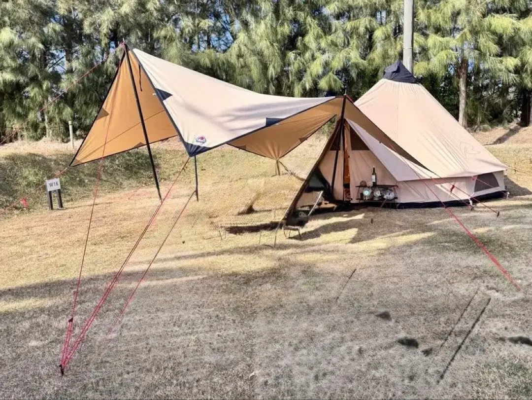 2026年最新】ローベンス クロンダイクの人気アイテム - メルカリ