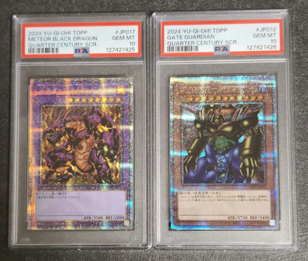 2026年最新】ゲートガーディアン psa10の人気アイテム - メルカリ