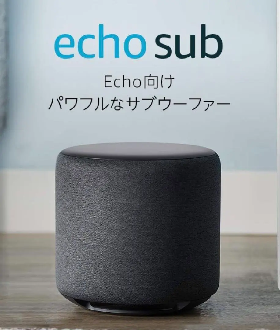 2026年最新】echo subの人気アイテム - メルカリ