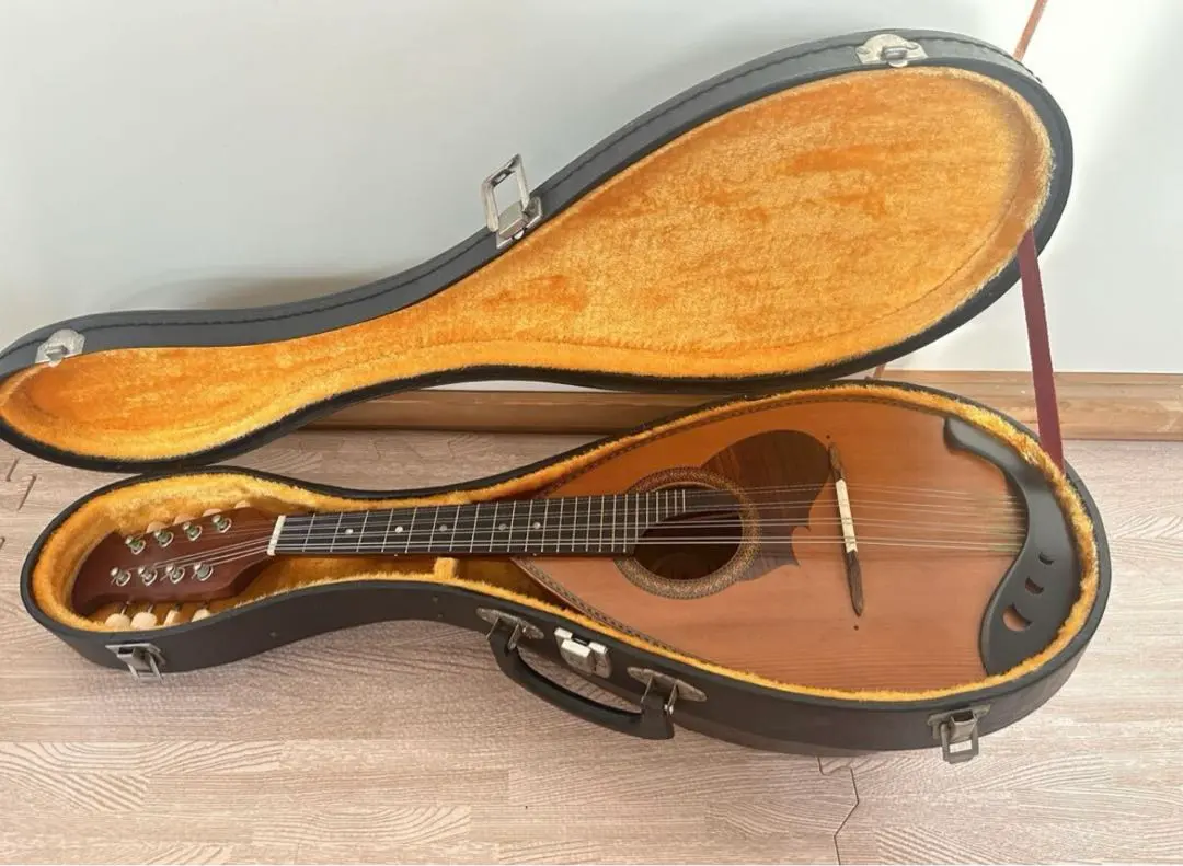 2026年最新】suzuki マンドリン 215の人気アイテム - メルカリ