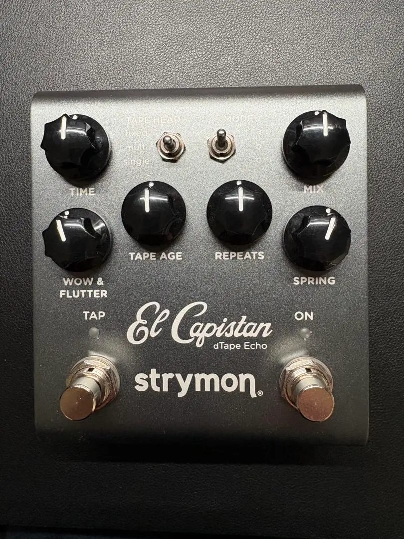 2026年最新】STRYMON el capistan v2の人気アイテム - メルカリ