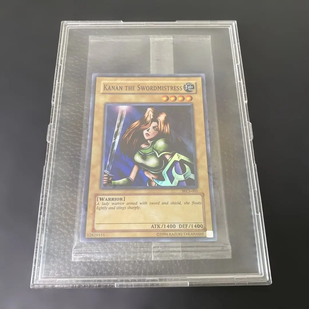 2026年最新】女剣士カナン wcsの人気アイテム - メルカリ