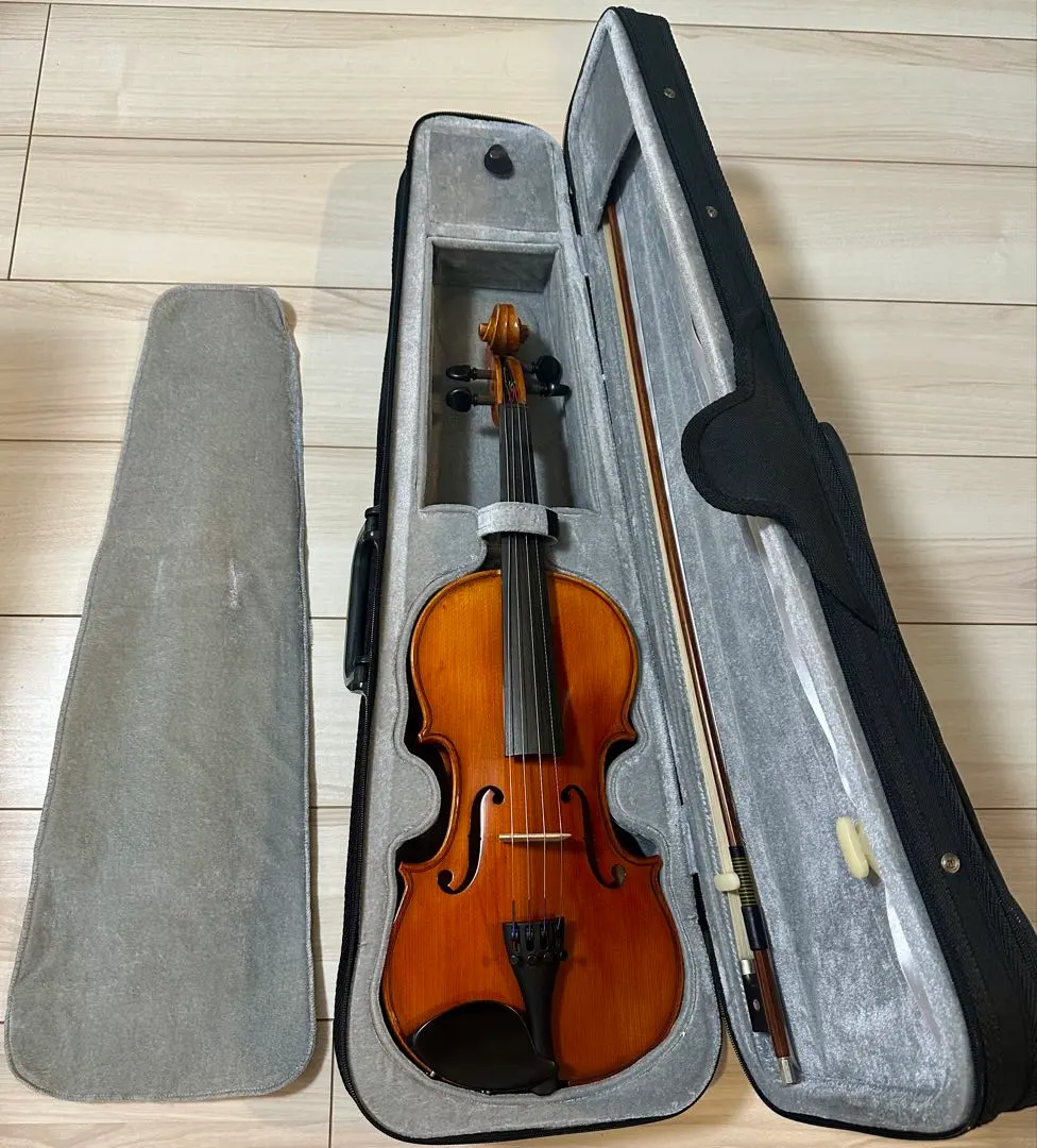 2026年最新】恵那バイオリンの人気アイテム - メルカリ