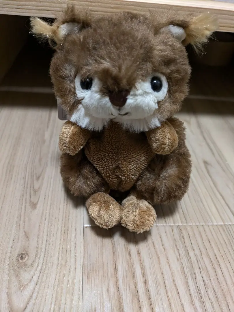 2026年最新】ブコウスキー りすの人気アイテム - メルカリ