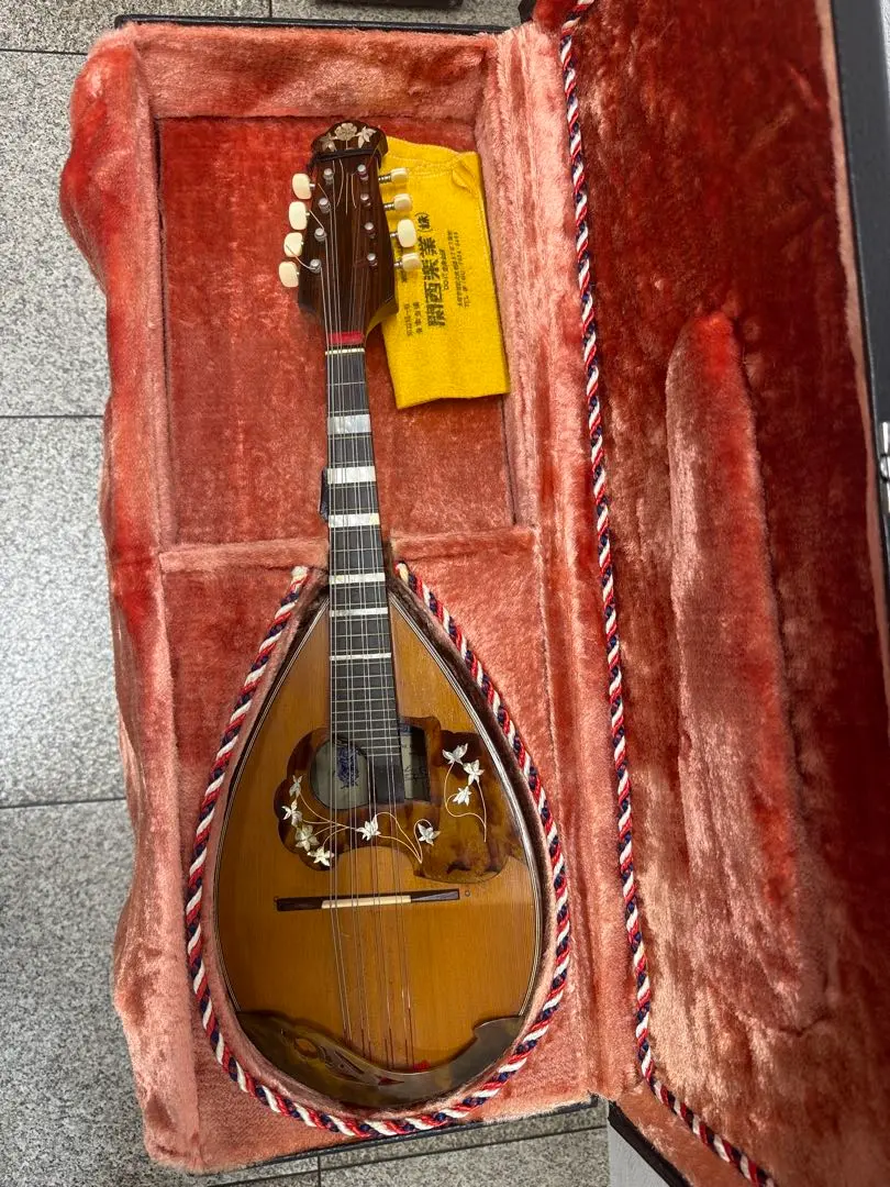 2026年最新】カラーチェ マンドリンの人気アイテム - メルカリ