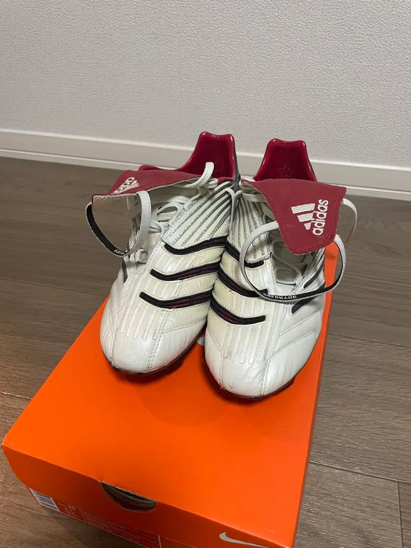 2026年最新】プレデターアブソリュートの人気アイテム - メルカリ