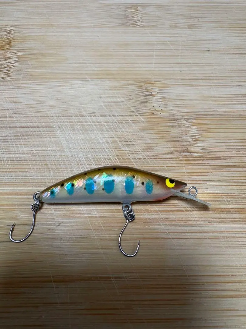 2026年最新】アングロ パラゴンの人気アイテム - メルカリ