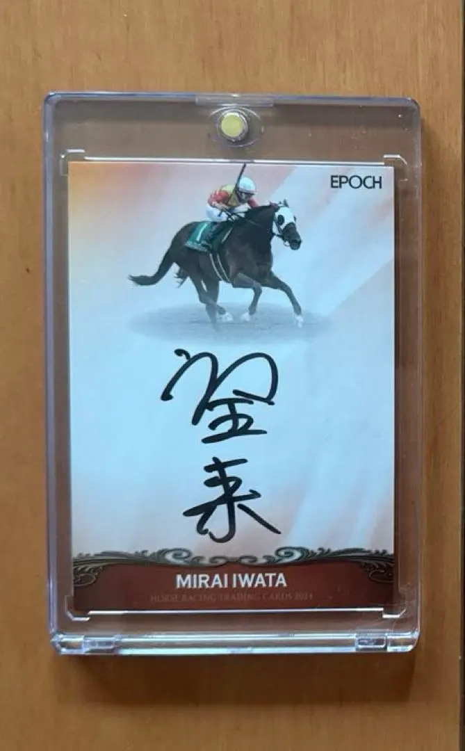 m96215421900_1.jpg?1758855539