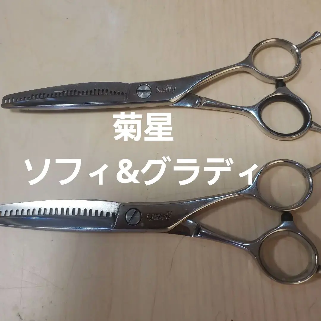 2026年最新】シザー 菊星の人気アイテム - メルカリ