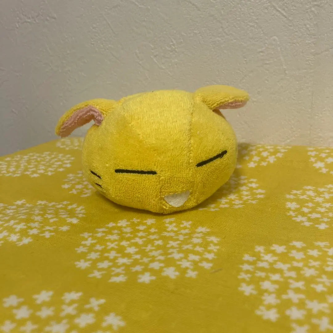 m97662558112_1.jpg?1758428015