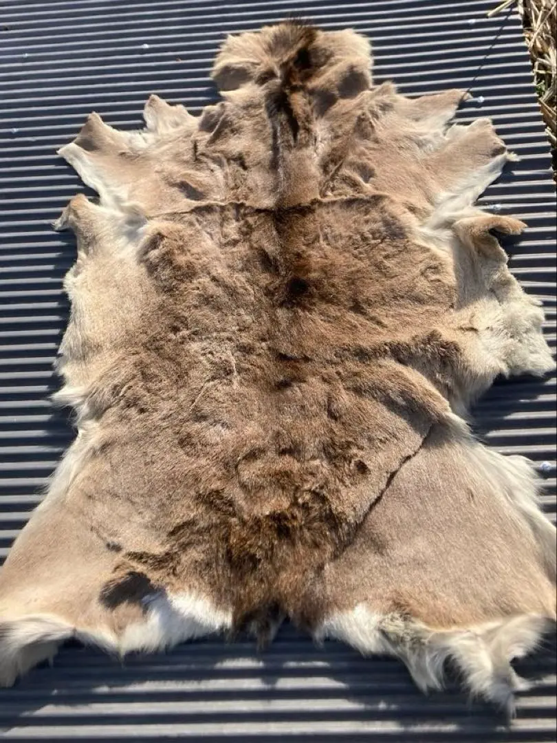 2026年最新】鹿毛皮の人気アイテム - メルカリ