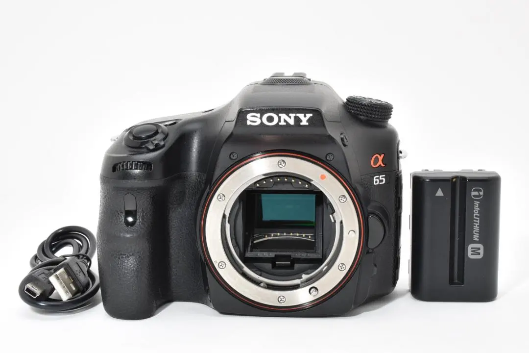 2026年最新】SLT-A65Vの人気アイテム - メルカリ