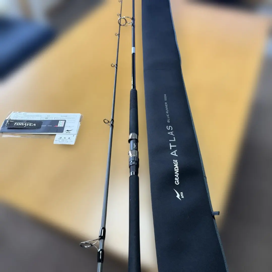 2026年最新】グランデージアトラス 100hの人気アイテム - メルカリ