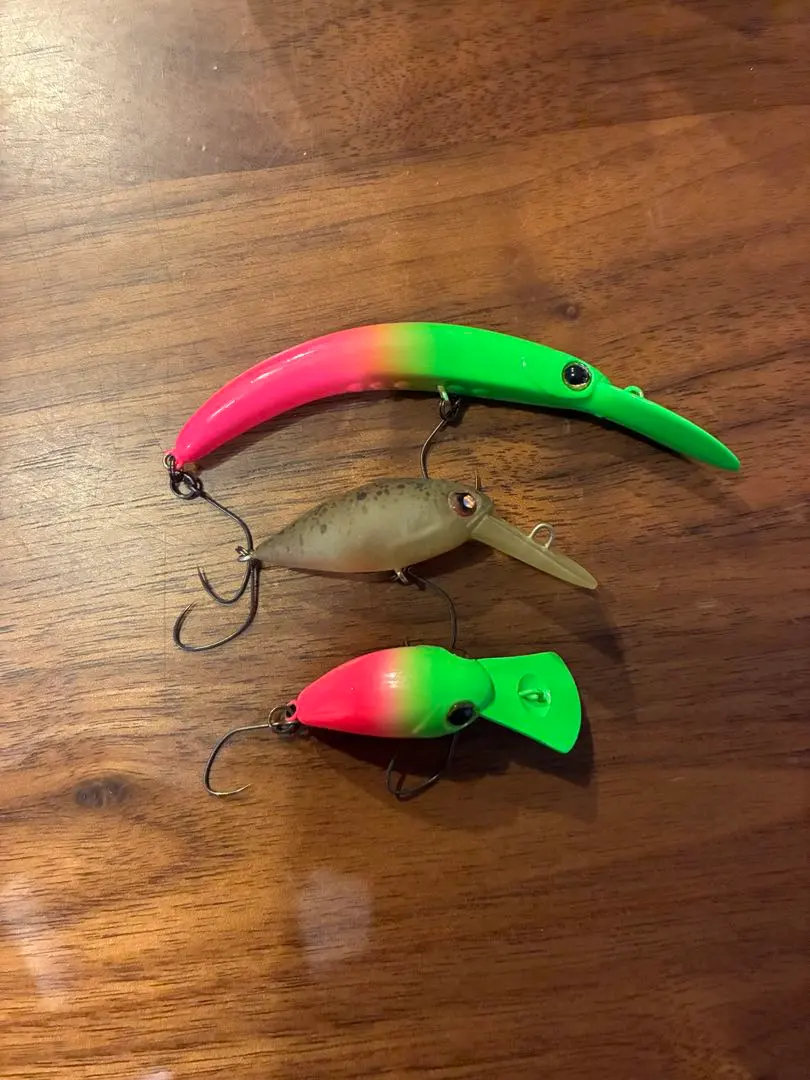 2026年最新】サンクチュアリオリカラの人気アイテム - メルカリ