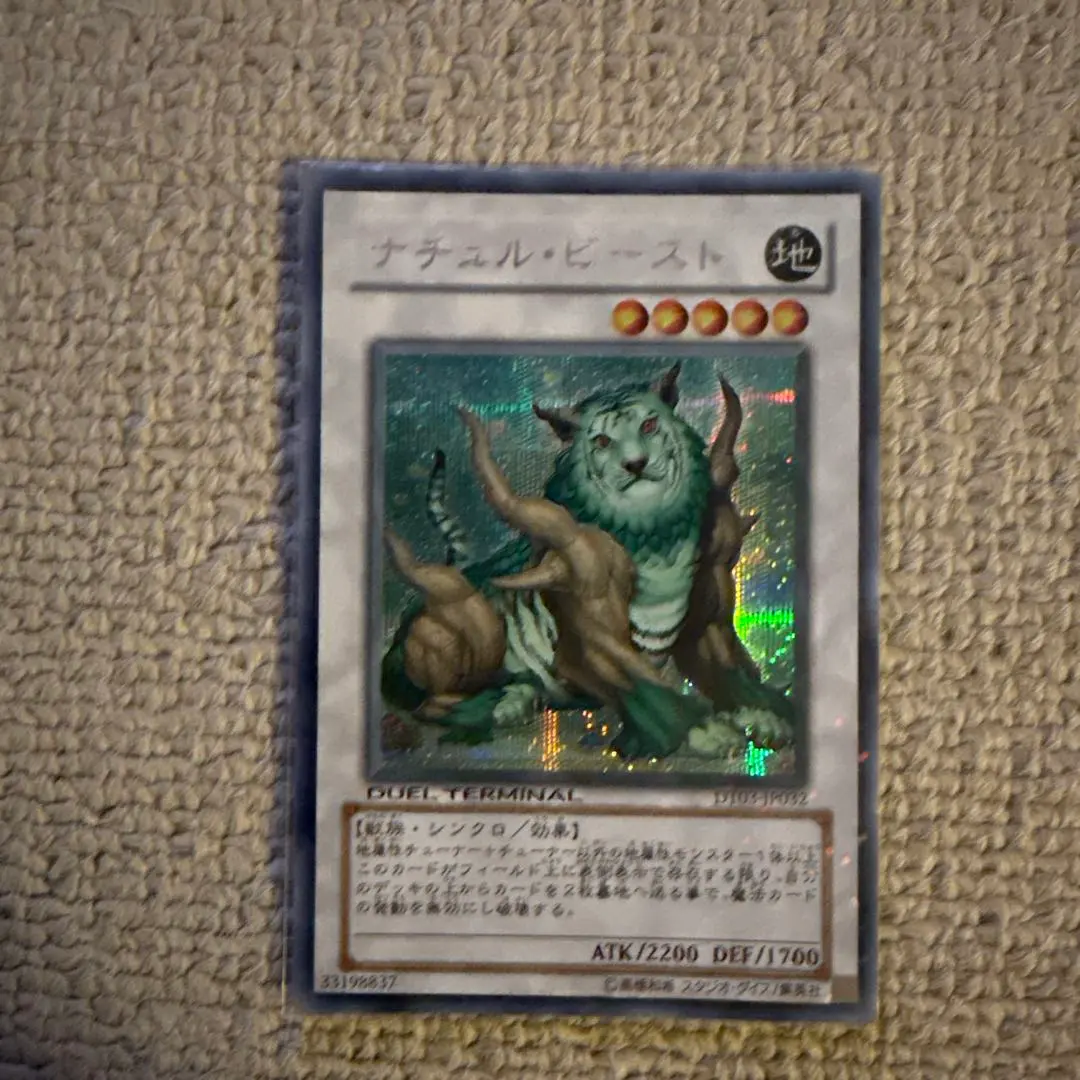 2026年最新】ナチュルビースト シークレットの人気アイテム - メルカリ