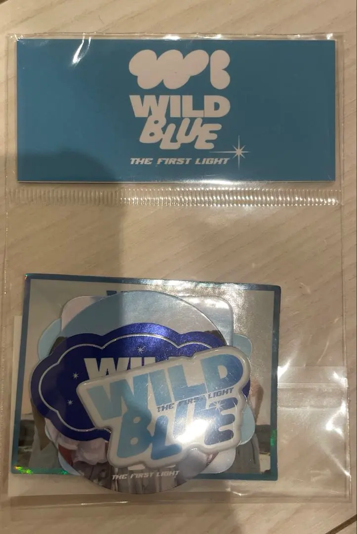 2026年最新】WILDBLUE ペンライトの人気アイテム - メルカリ