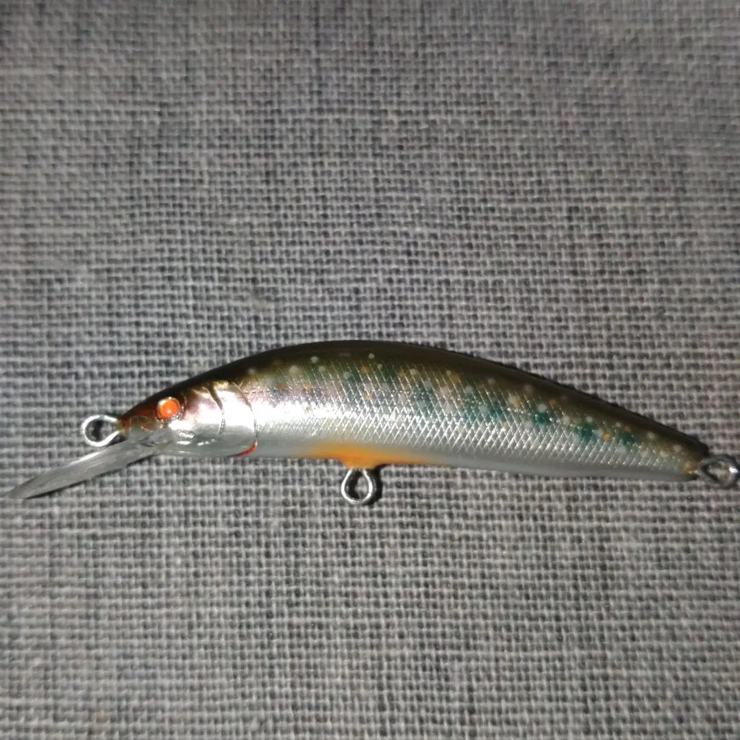 2026年最新】RayTune ルアー・フライの人気アイテム - メルカリ