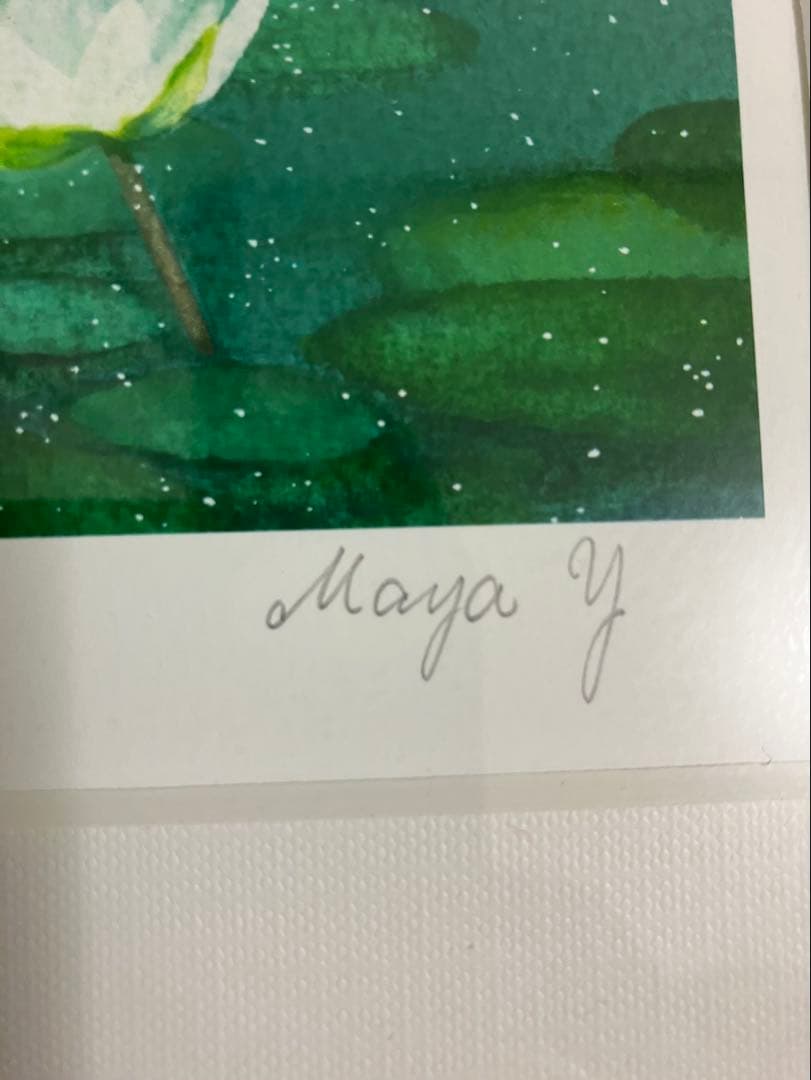 横山真弥　睡蓮…妖精たちとおやゆびひめ